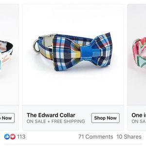 pet collar reserved for nicole